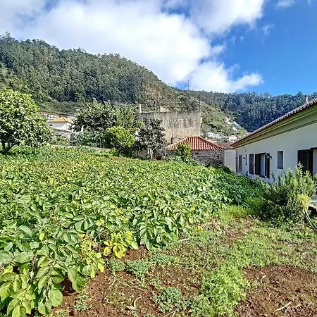 Holiday home Yohanna's